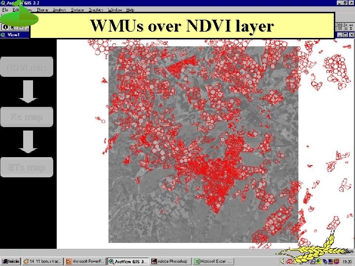 WMUs over NDVI layer NDVI map Kc map ETc map 