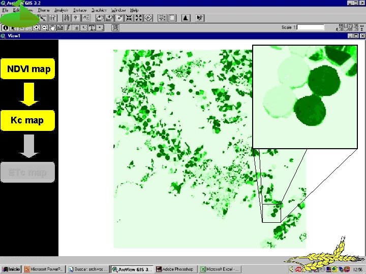 NDVI map Kc map ETc map 