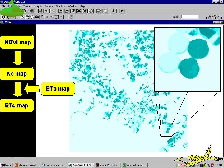 NDVI map Kc map ETo map ETc map Mapa ETc 