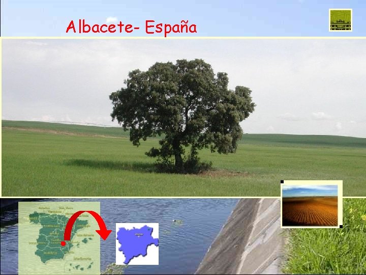 Albacete- España 