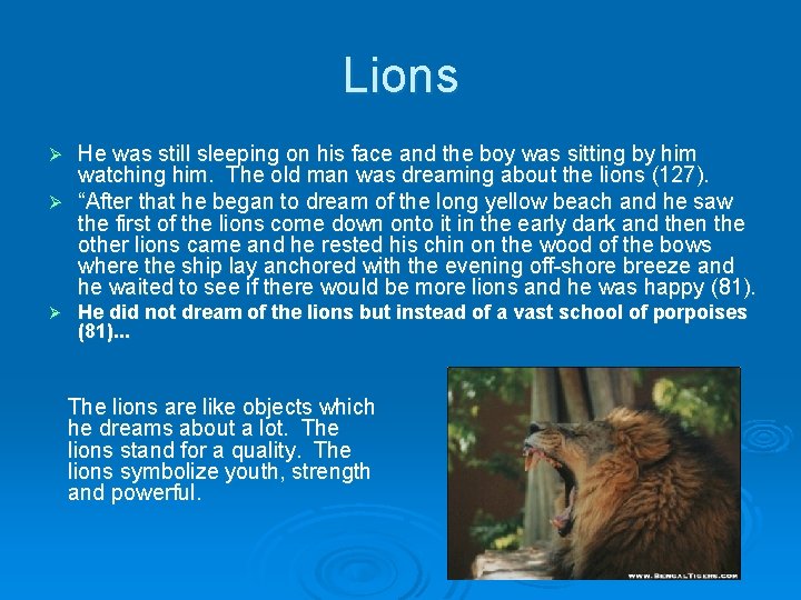 Lions He was still sleeping on his face and the boy was sitting by