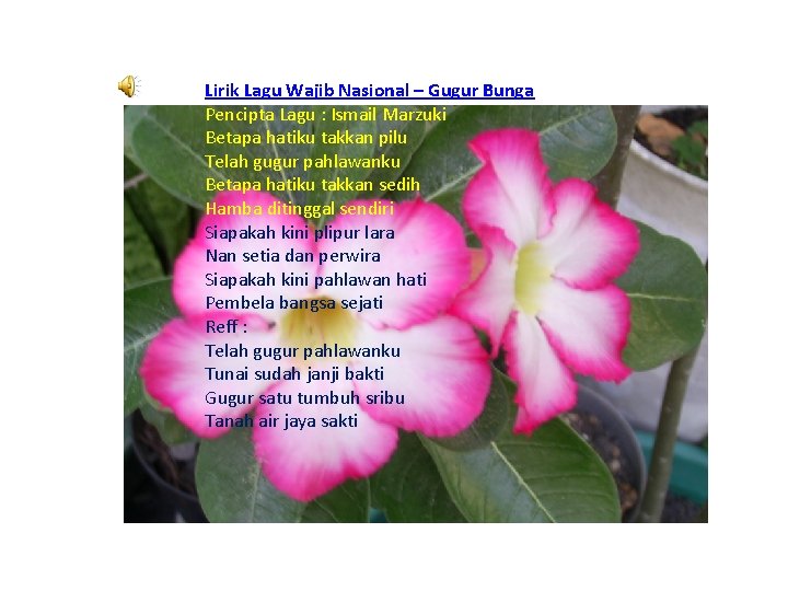 Lirik Lagu Wajib Nasional – Gugur Bunga Pencipta Lagu : Ismail Marzuki Betapa hatiku