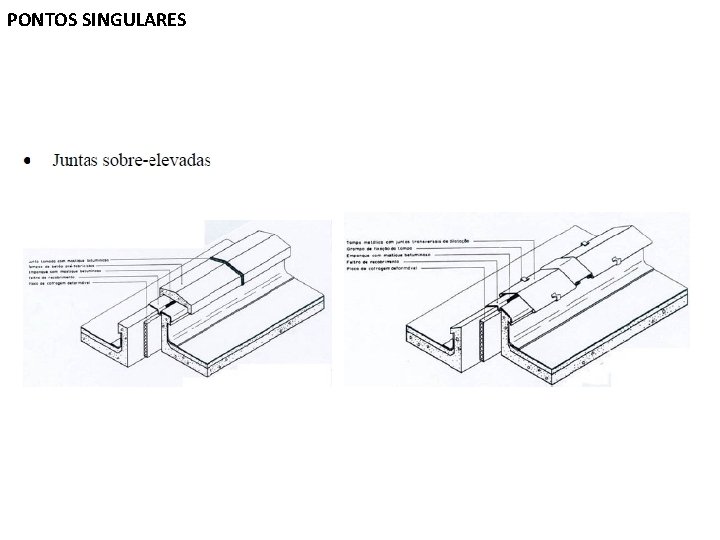 PONTOS SINGULARES 