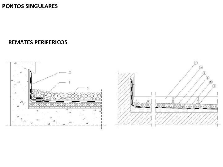 PONTOS SINGULARES REMATES PERIFERICOS 