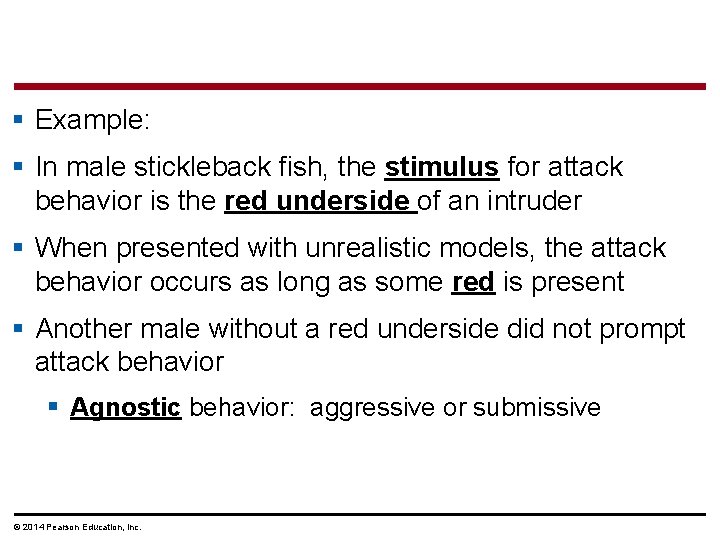 § Example: § In male stickleback fish, the stimulus for attack behavior is the