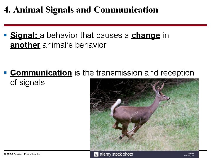 4. Animal Signals and Communication § Signal: a behavior that causes a change in