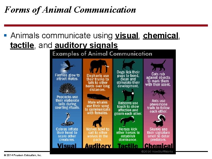 Forms of Animal Communication § Animals communicate using visual, chemical, tactile, and auditory signals