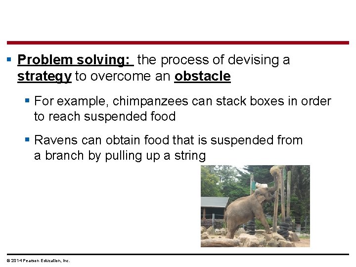 § Problem solving: the process of devising a strategy to overcome an obstacle §