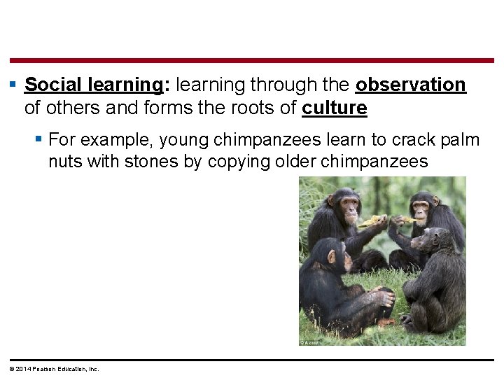 § Social learning: learning through the observation of others and forms the roots of