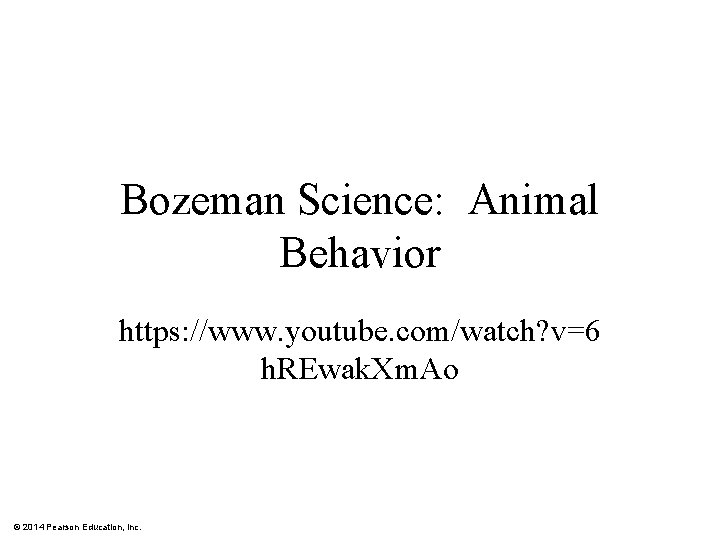 Bozeman Science: Animal Behavior https: //www. youtube. com/watch? v=6 h. REwak. Xm. Ao ©