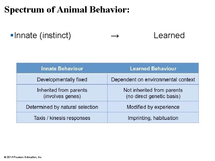 Spectrum of Animal Behavior: §Innate (instinct) © 2014 Pearson Education, Inc. → Learned 