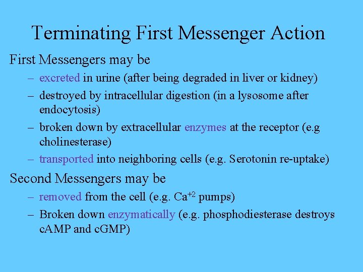 Terminating First Messenger Action First Messengers may be – excreted in urine (after being