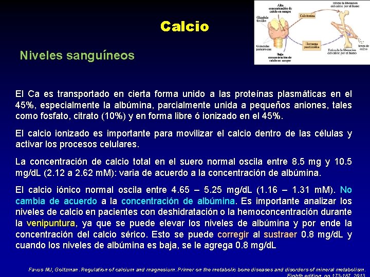 Calcio Niveles sanguíneos El Ca es transportado en cierta forma unido a las proteínas