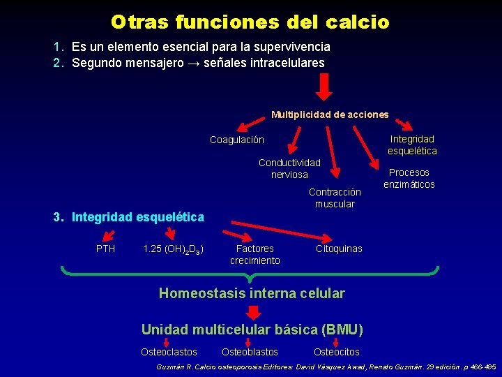 Otras funciones del calcio 1. Es un elemento esencial para la supervivencia 2. Segundo