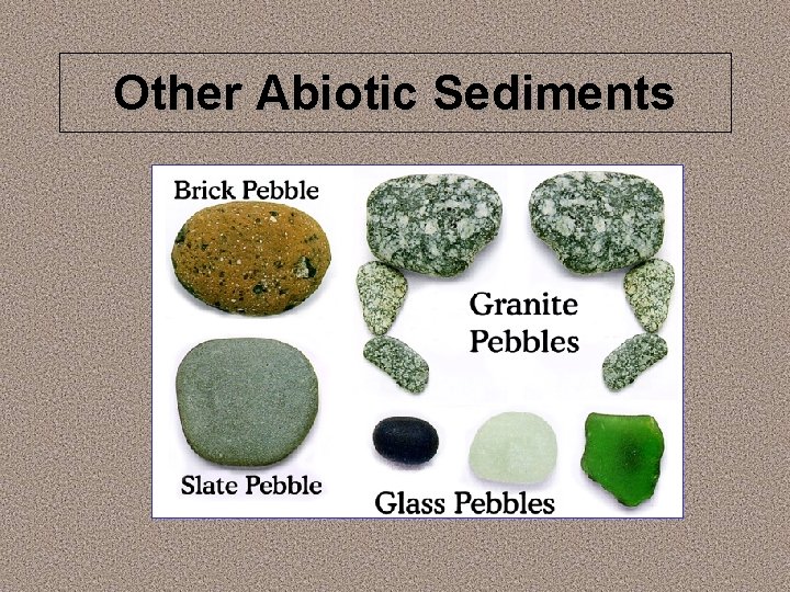 Other Abiotic Sediments 