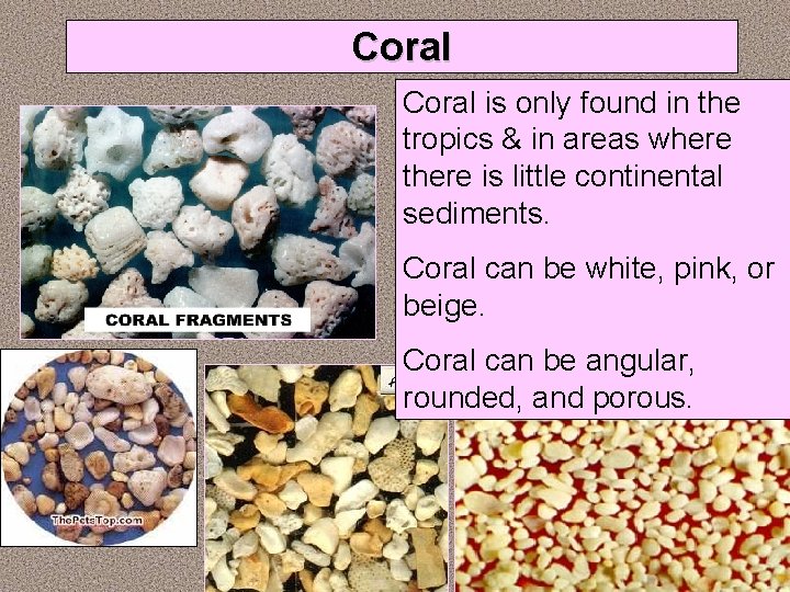 Coral is only found in the tropics & in areas where there is little