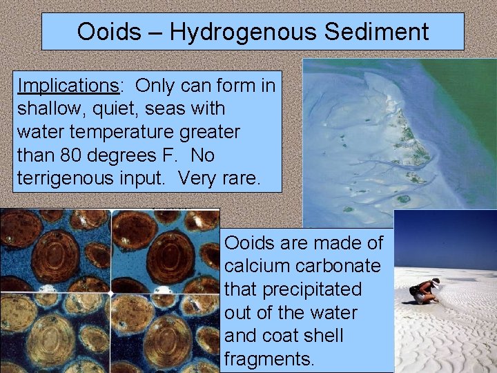Ooids – Hydrogenous Sediment Implications: Only can form in shallow, quiet, seas with water