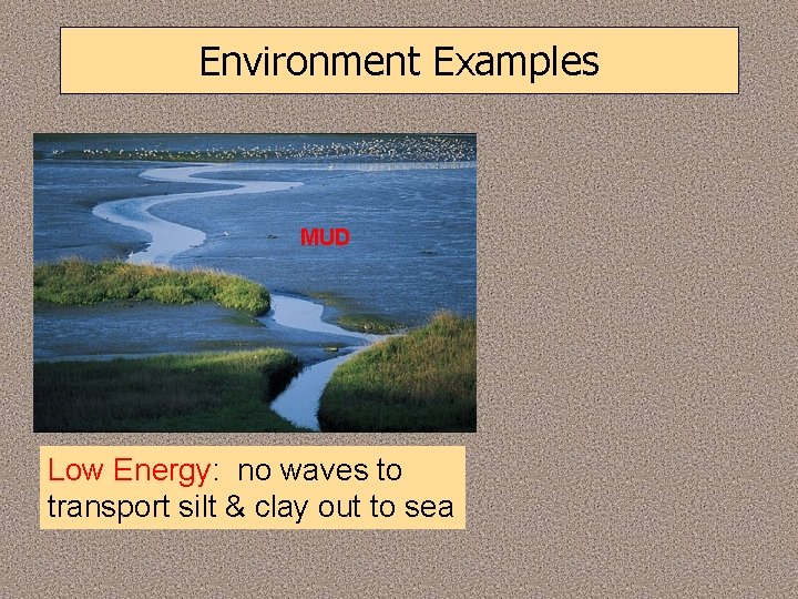 Environment Examples MUD Low Energy: no waves to transport silt & clay out to