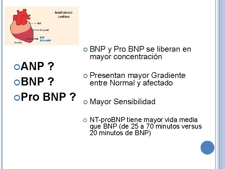 ? BNP ? Pro BNP ? BNP y Pro BNP se liberan en mayor