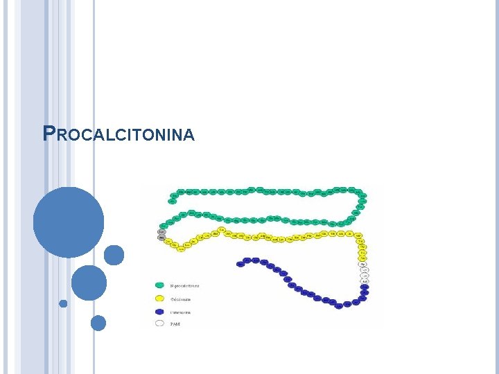 PROCALCITONINA 