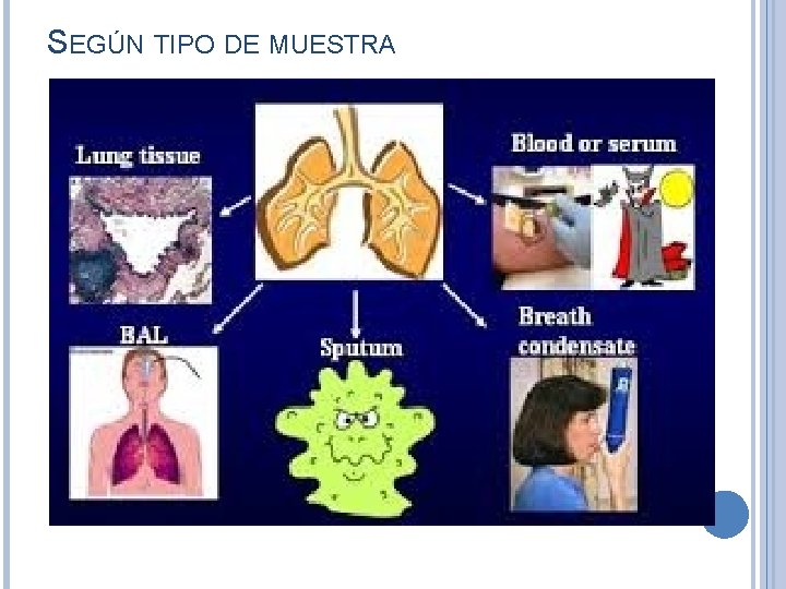 SEGÚN TIPO DE MUESTRA 