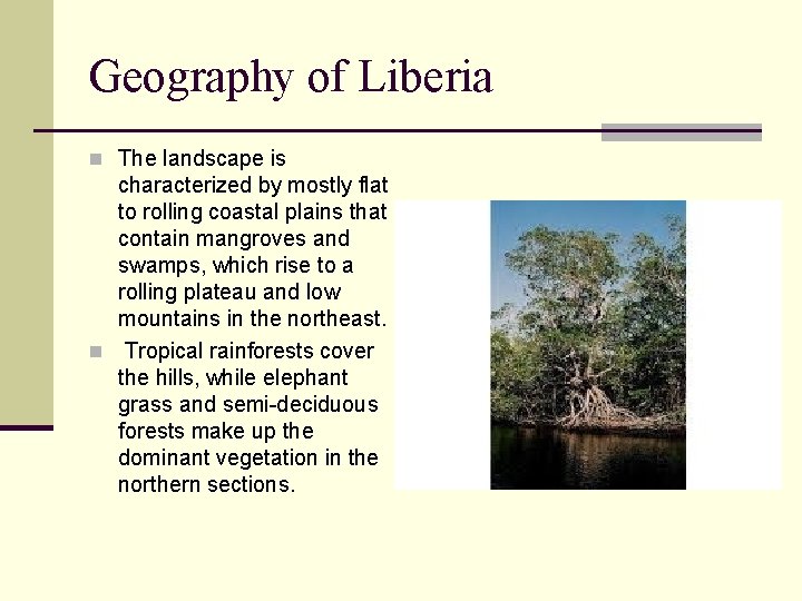 Geography of Liberia n The landscape is characterized by mostly flat to rolling coastal