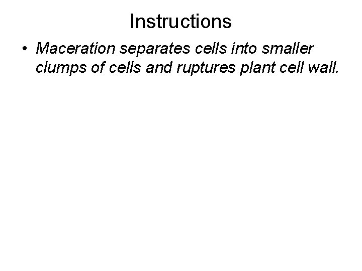 Instructions • Maceration separates cells into smaller clumps of cells and ruptures plant cell