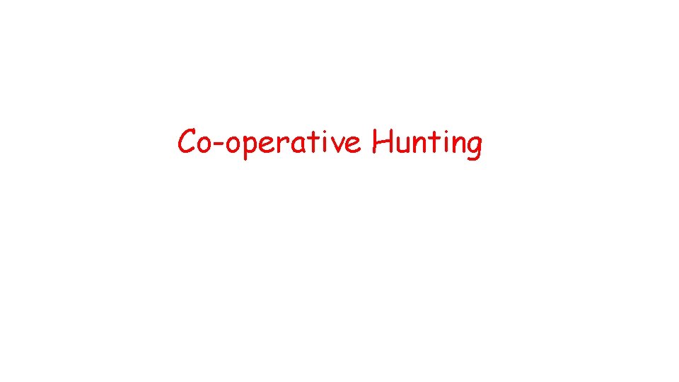Co-operative Hunting 