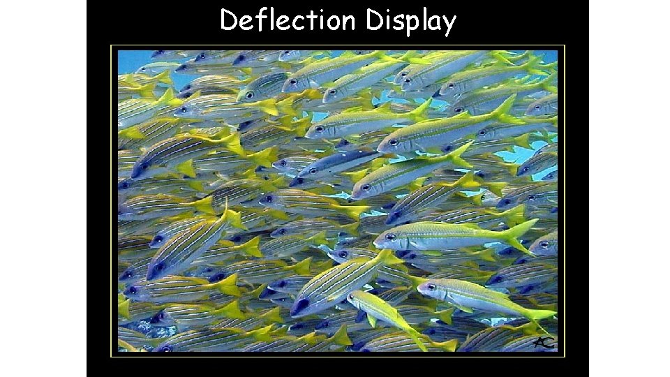 Deflection Display 