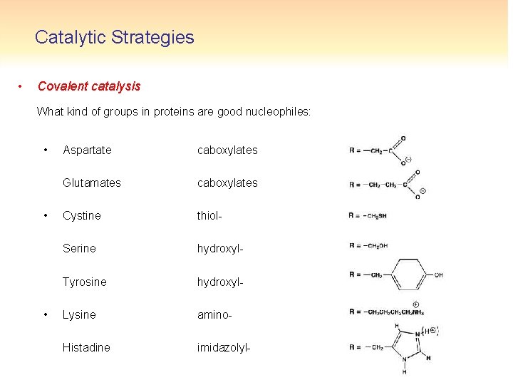Catalytic Strategies • Covalent catalysis What kind of groups in proteins are good nucleophiles: