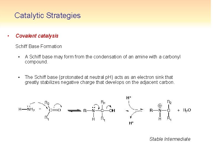 Catalytic Strategies • Covalent catalysis Schiff Base Formation • A Schiff base may form