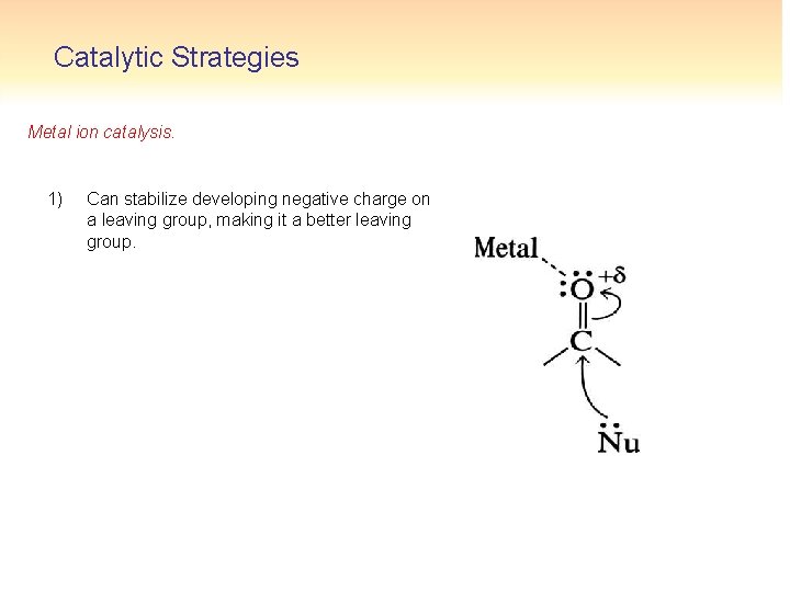 Catalytic Strategies Metal ion catalysis. 1) Can stabilize developing negative charge on a leaving