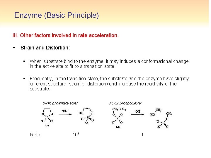 Enzyme (Basic Principle) III. Other factors involved in rate acceleration. § Strain and Distortion: