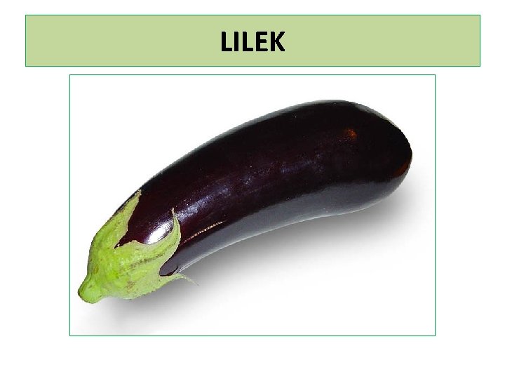 LILEK 