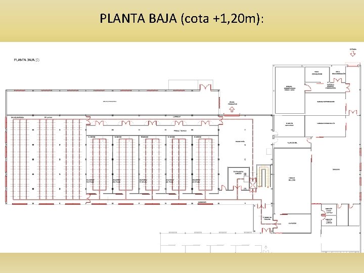 PLANTA BAJA (cota +1, 20 m): 