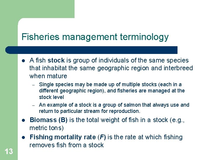 Fisheries management terminology l A fish stock is group of individuals of the same