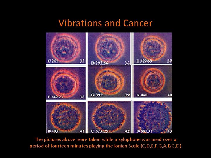 Vibrations and Cancer The pictures above were taken while a xylophone was used over