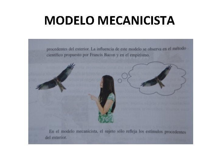 MODELO MECANICISTA 