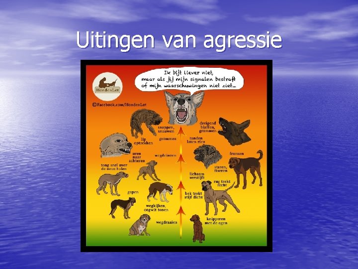 Uitingen van agressie 