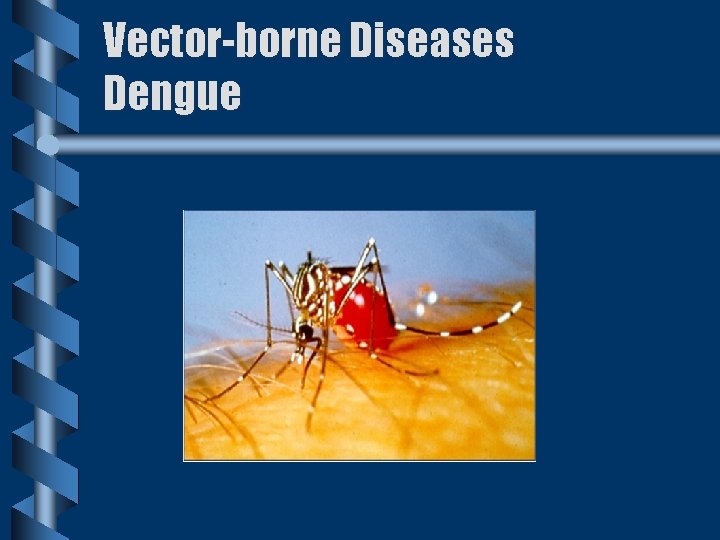 Vector-borne Diseases Dengue 