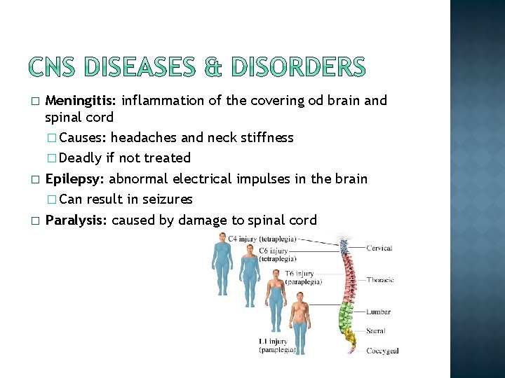 � � � Meningitis: inflammation of the covering od brain and spinal cord �