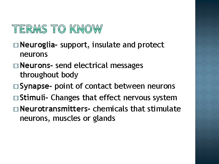 � Neuroglia- support, insulate and protect neurons � Neurons- send electrical messages throughout body