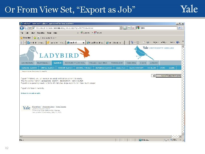 Or From View Set, “Export as Job” 19 