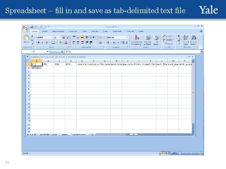 Spreadsheet – fill in and save as tab-delimited text file 21 