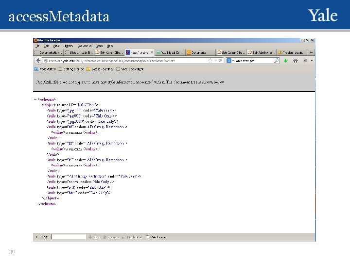 access. Metadata 30 