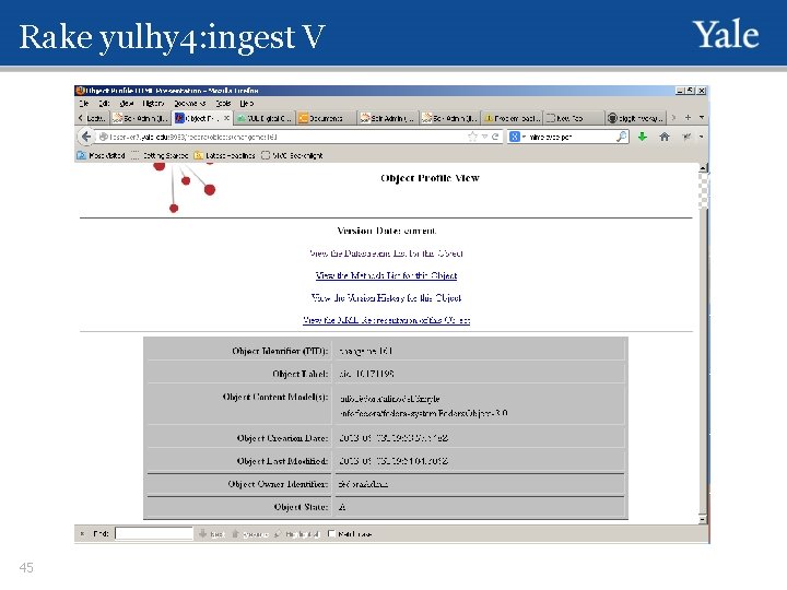 Rake yulhy 4: ingest V 45 