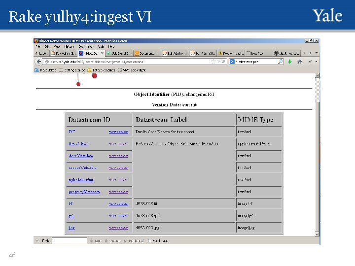 Rake yulhy 4: ingest VI 46 