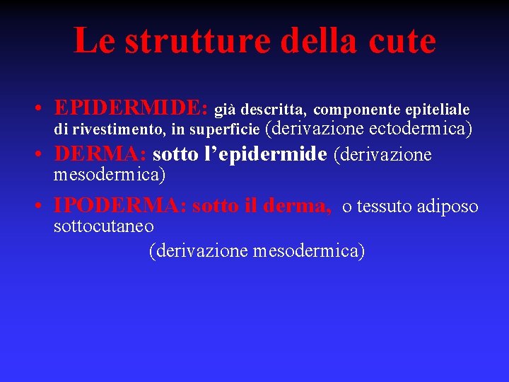 Le strutture della cute • EPIDERMIDE: già descritta, componente epiteliale di rivestimento, in superficie