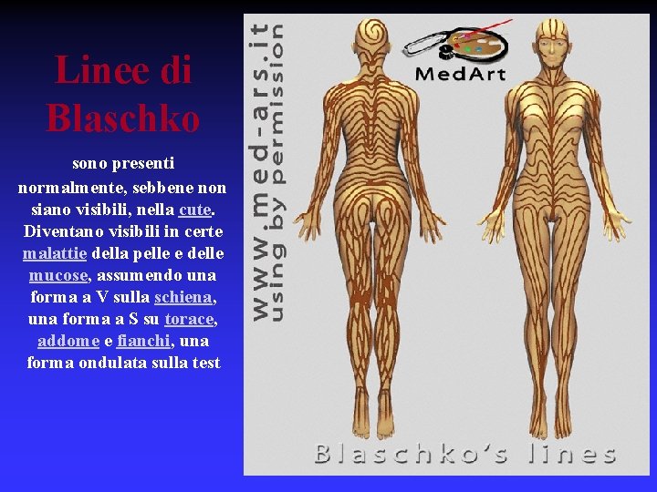 Linee di Blaschko sono presenti normalmente, sebbene non siano visibili, nella cute. Diventano visibili