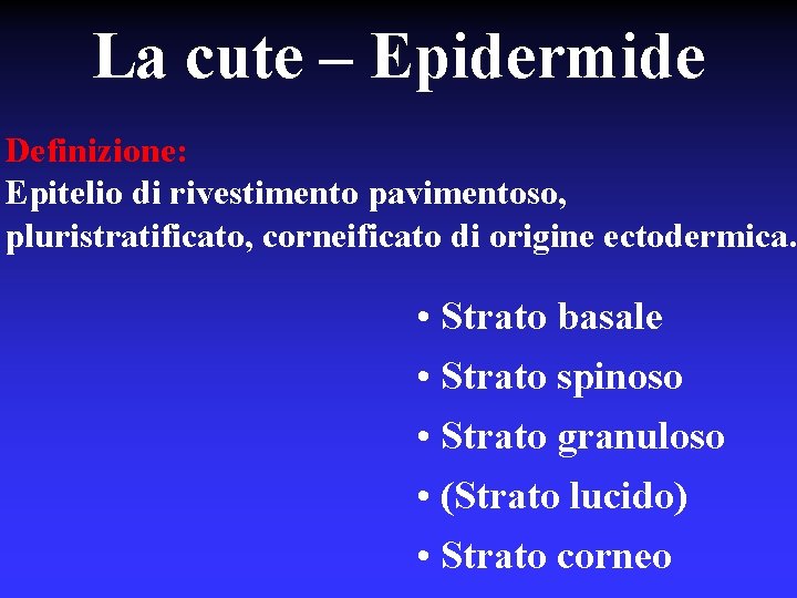 La cute – Epidermide Definizione: Epitelio di rivestimento pavimentoso, pluristratificato, corneificato di origine ectodermica.